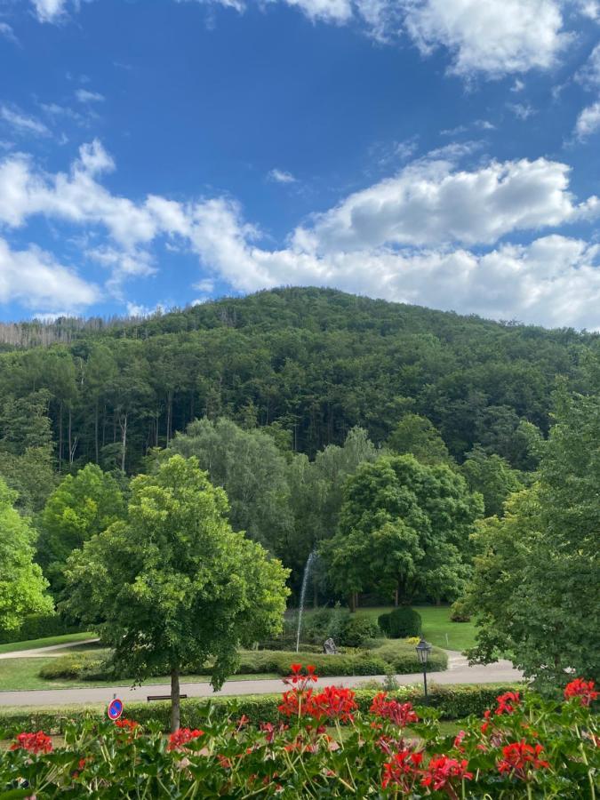 Apartment am Park Bad Lauterberg Bagian luar foto